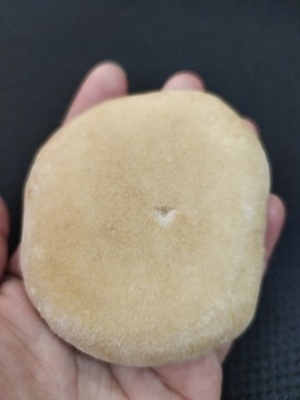 發(fā)餅特寫