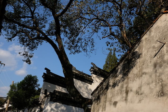院墻
