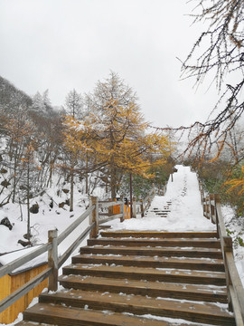 冬天雪景