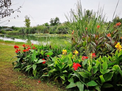生態(tài)公園