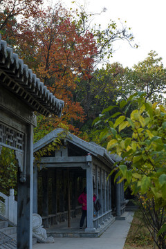 風(fēng)穴寺夷園