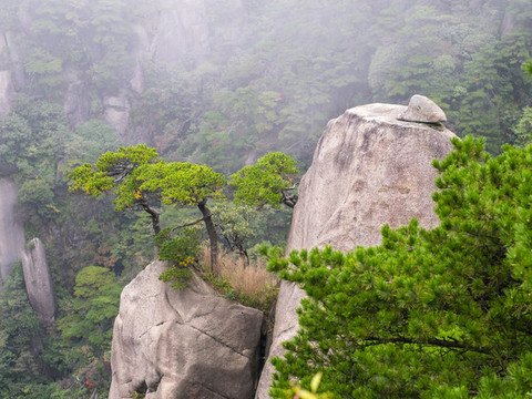 上饒三清山國(guó)家級(jí)旅游風(fēng)景區(qū)