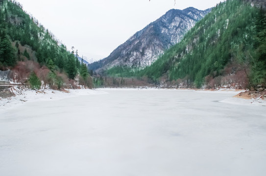 冰封熊貓海