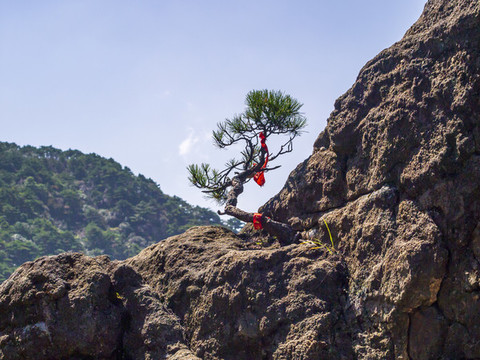 上饒三清山國(guó)家級(jí)旅游風(fēng)景區(qū)