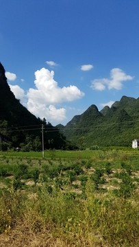 田園