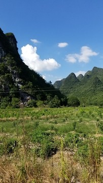 田園