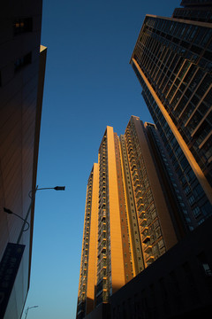 樓房
