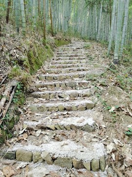 林間小路