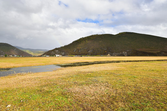 高原草原