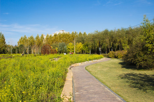 田間小路
