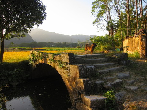 夕陽田園
