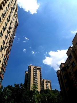 樓