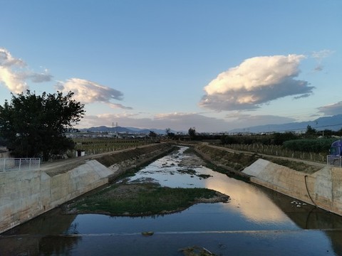 古橋