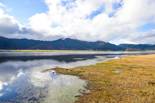 香格里拉納帕海