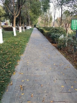 林蔭小道
