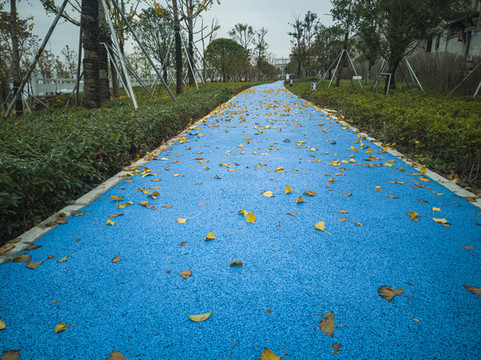 落滿樹葉的小道