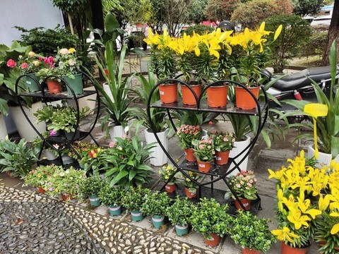 鮮花店花兒開