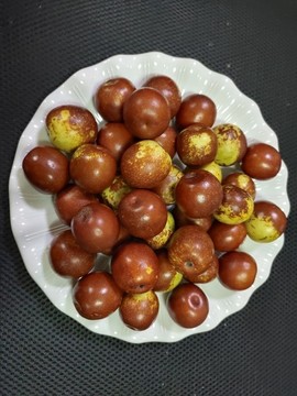 新鮮冬棗