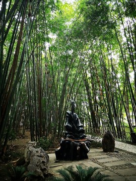 幽篁撫琴