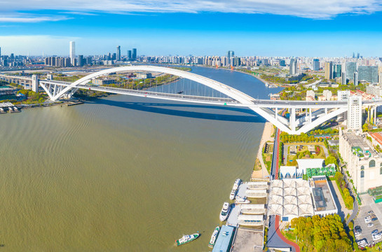 上海黃浦江盧浦大橋城市風(fēng)光