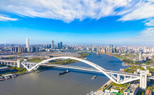 上海黃浦江盧浦大橋城市風(fēng)光