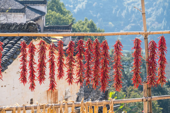 懸掛的紅辣椒