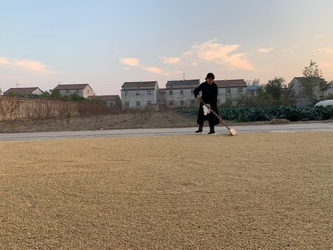 干農活