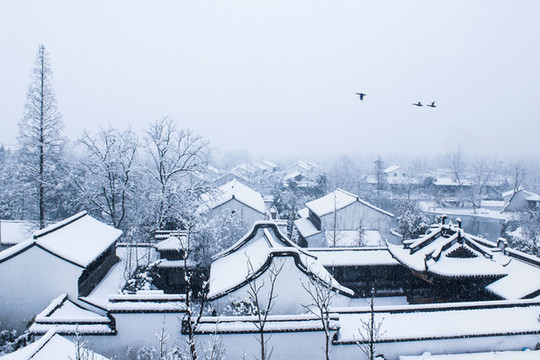 西溪雪韻
