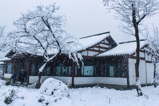 西溪雪韻