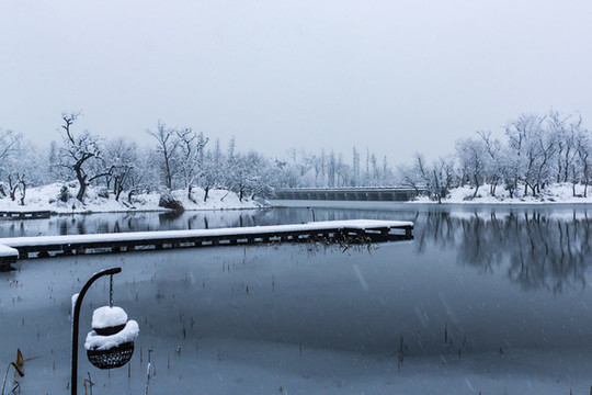 西溪雪韻