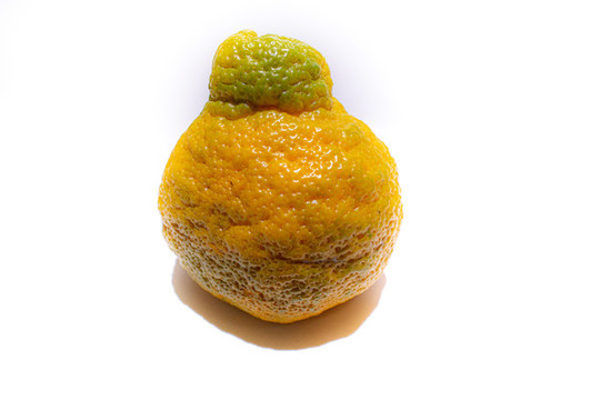 不知火柑