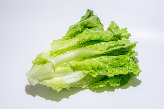 生菜