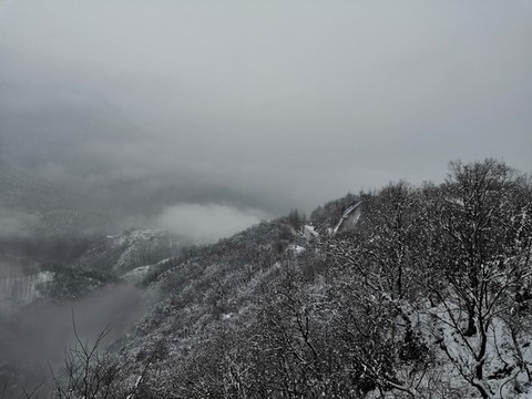 雪景