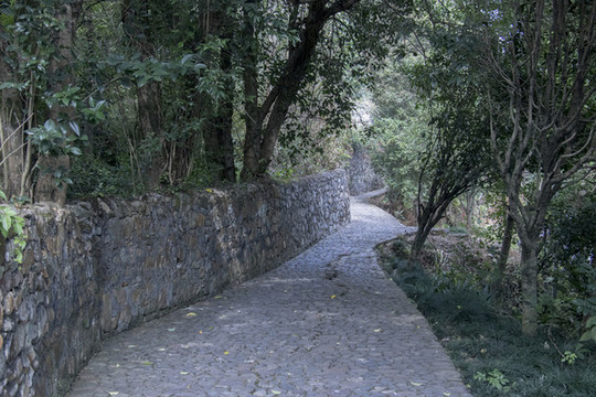 卵石小路