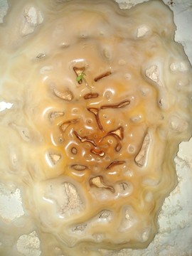 水滴圖
