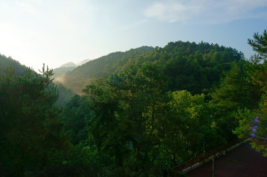 高山晨霧