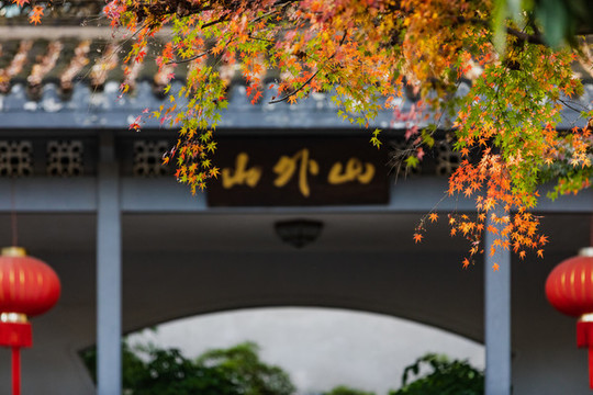 霜園紅葉