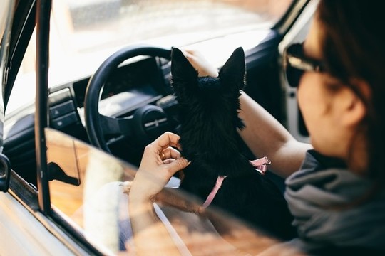 開車