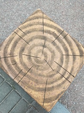 公園的橫切面木樁