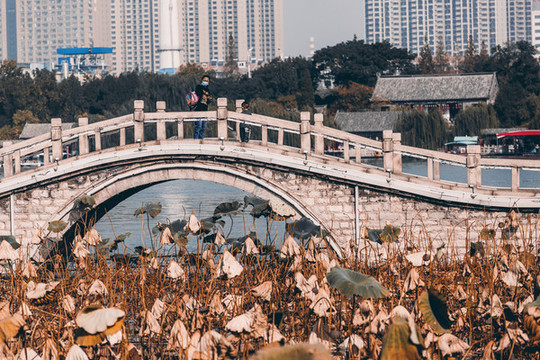 濟(jì)南大明湖景區(qū)