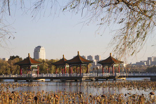 南湖公園