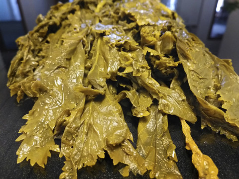 雪菜素材