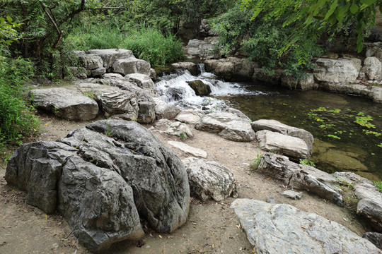 北京奧森公園濕地風光