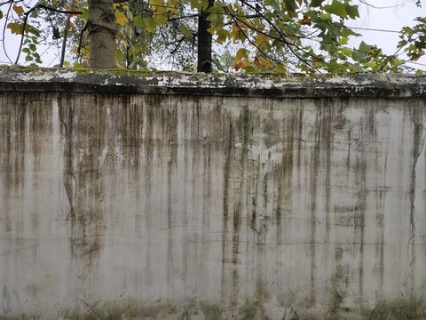 建筑