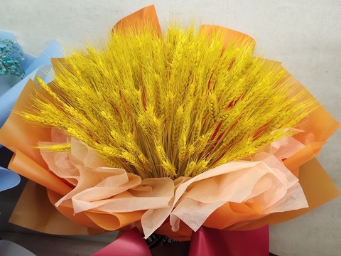 麥穗手捧花