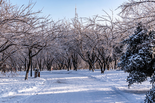 中國長春御花園冬季景觀