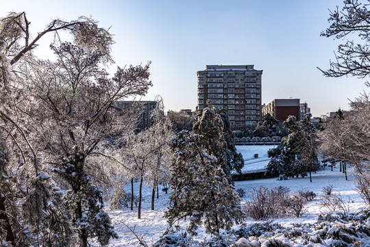 中國長春御花園冬季景觀