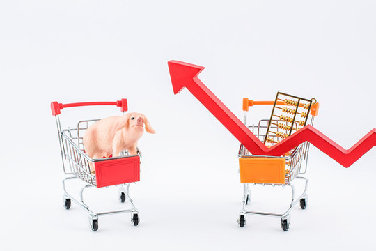 猪肉涨价降价物价变化创意图片