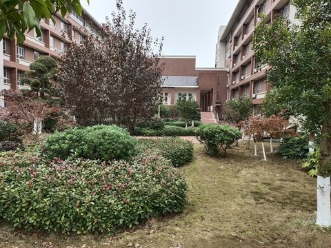 大學(xué)校園