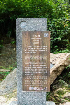泰山風(fēng)景區(qū)